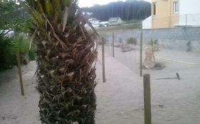 Apartamentos Alejandra